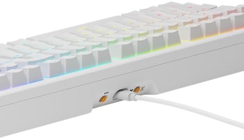 Glorious Gaming GMMK 3 HE: Teclado Respuesta rápida, Hall Effect, sondeo 8K, switches magnéticos y mecánicos MX, Teclado 100% Hot Swap, Juntas modulares, PBT Doble inyección, AZERTY francés - Blanco