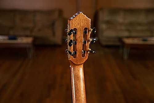Guitarra acústico-eléctrica ORTEGA Performer Series 4/4 Slim Neck - + Bolsa, RCE138-T4