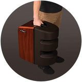 L.R. Baggs Synapse Personal PA - Amplificador acústico (2 Canales, 500 W)