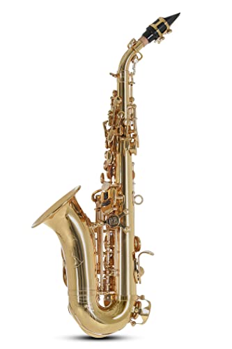 Roy Benson Saxofón Soprano Sib SG-302 (Premium Brass Design, con arco ergonómico RND S-Bow, llave Fa# agudo, almohadilla PISONI, estuche ligero para transporte, con juego de mochila)