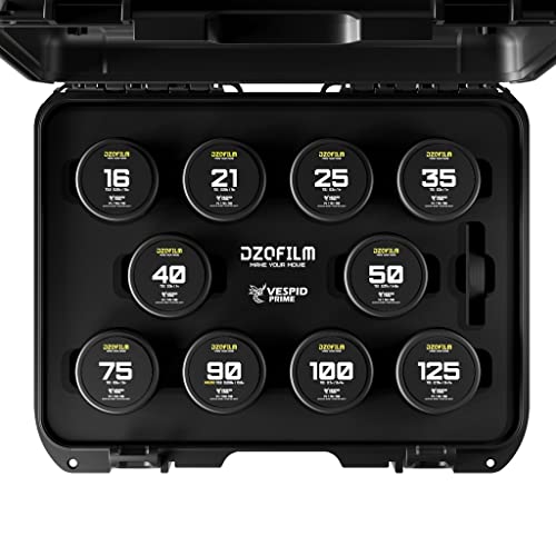 DZOFILM Cine Lens Vespid Prime 10-Lens Kit (16 T2.8 + /21/25/35/40/50/75/100/125 T2.1 + Macro 90 T2.8) Metric