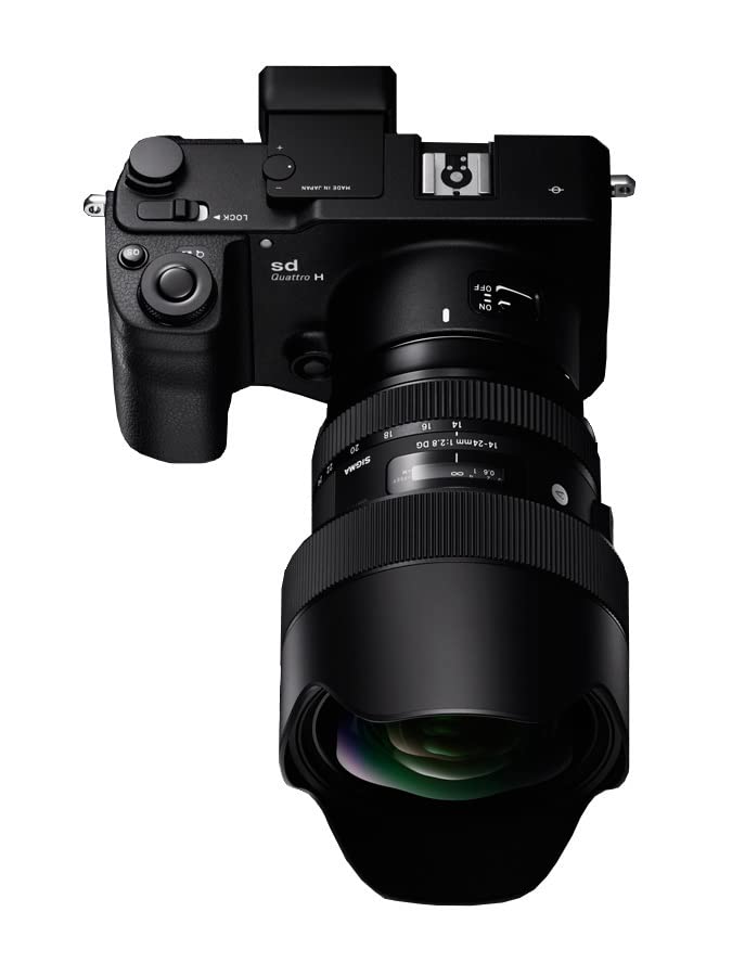 Sigma DG HSM Art Lente de la cámara Nikon, Color Negro