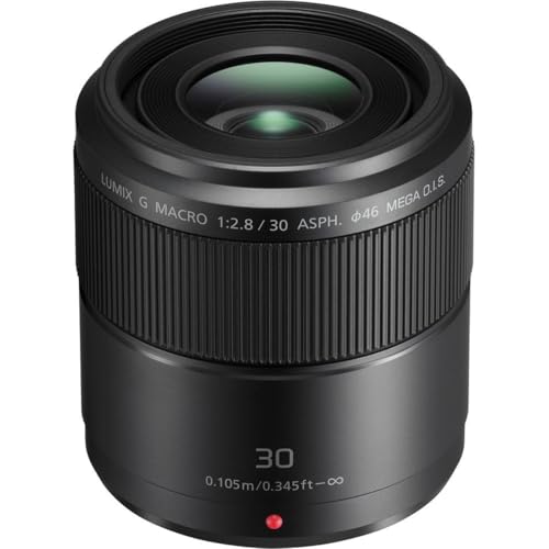 Panasonic LUMIX G Macro, 30 mm, F2.8 ASPH, MIRRORLESS Micro Cuatro TERCEROS, Mega Optical I.S, H-HS030 (USA Black)