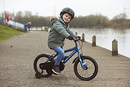 Wildtrak - Bicicleta 16 pulgadas para niños de 3 a 7 años con ruedines con ruedines - Azul