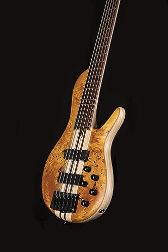 CORT A5 Plus SC (Regular Scale)