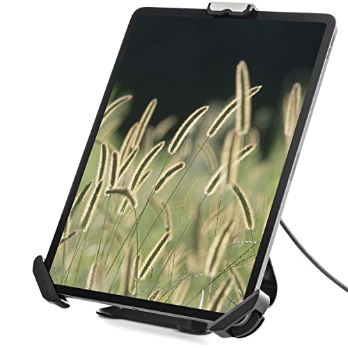 StarTech.com Soporte Seguro para Tablet con Cable de Seguridad con Candado K-Slot - Base para Tablets de 7,9 a 13 Pulgadas - Soporte Universal Ajustable Antirrobo de Sobremesa para Tablet (SECTBLTDT)