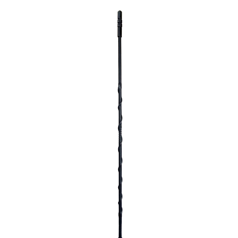 Radio CB PNI Escort HP 8000L ASQ + Antena CB PNI Extra 45 con imán