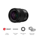 Panasonic S-S24E Lumix Objetivo 24 mm (F1.8, Distancia Focal Fija, Gran Angular, Diseño Compacto y Ligero, Resistente al Polvo, Agua y Frio), Negro