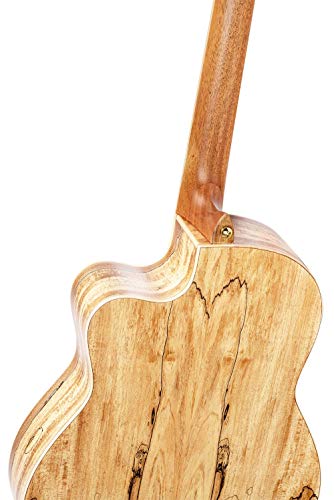 ORTEGA Thomas Zwijsen Signature Classic Guitar 6 cuerdas - + Softcase, TZSM-3