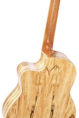 ORTEGA Thomas Zwijsen Signature Classic Guitar 6 cuerdas - + Softcase, TZSM-3