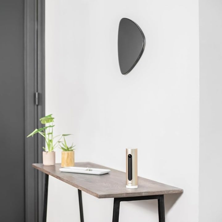 Netatmo Cámara de Vigilancia Interior con Soporte de Pared, WiFi, AI Reconocimiento Facial, Detección de Movimientos, Transmisión en Vivo, Visión Nocturna, FHD 1080p, Sin Costo Adicional, NSC-AMZ