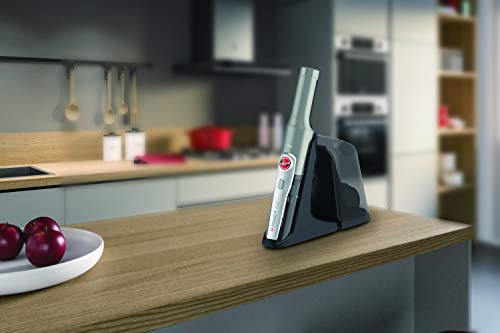 Hoover H-HANDY 700 HH710PPT Aspirador de Mano sin Cable Potente, Especial Mascotas, Cepillo Pelo de Mascota y Tapicerías, Motor Direct Impulse, Muy potente 40AW, Carga ultrarápida, Filtros EPA, Ligera