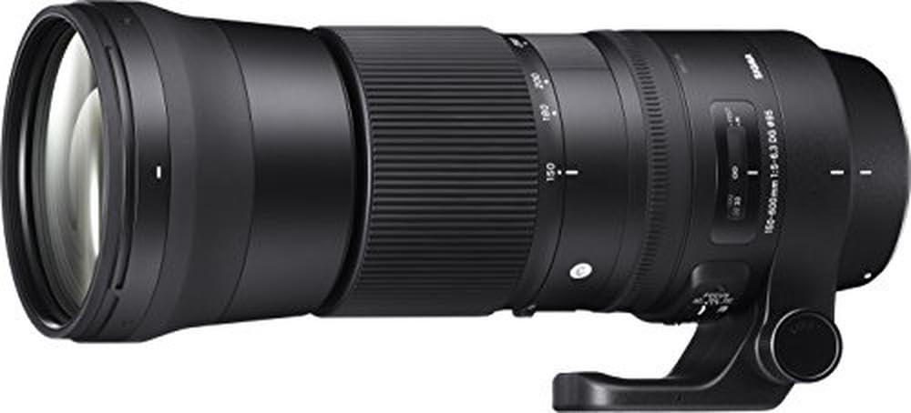 Sigma 150-600/5-6.3 DG OS HSM (C) SA - Objetivo