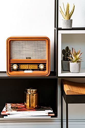 Camry CR1188 Radio Retro Am/FM, Bluetooth, Sintonizador de Frecuencia Manual, Puerto USB, Carcasa Madera Diseño Vintage
