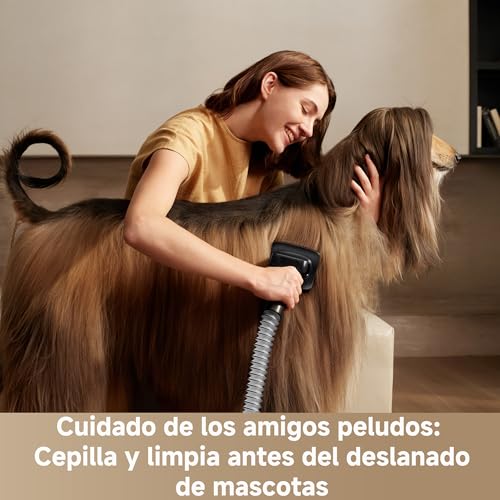 Dreame Z40 Station Aspiradora Escoba sin Cable con Vaciado Automático, Cepillo Multifunción Revelador de Polvo, Filtro Hepa, Herramienta de Fregado en Húmedo, Detección de Suciedad, 310 AW