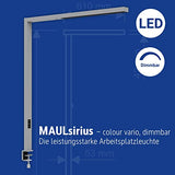 MAUL MAULsirius 8259395, Lámpara de pie con pinza y detector de movimiento, regulable, sensor de luz diurna, para oficina, estación de trabajo, pinza de mesa, 8750 lúmenes, color plateado