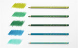 Caran DAche 80 Color Pablo Set (japan import)