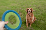 LensBaby - Sweet 35 Optic - Profundidad y movimiento inesperados - Enfoque fino - Para retratos, paisajes y más