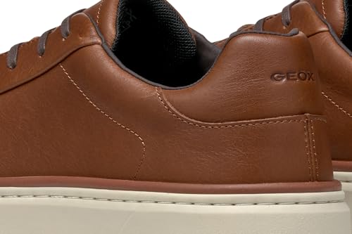 Geox U Zackerty A, Zapatillas Hombre, Color marrón, 42 EU