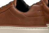 Geox U Zackerty A, Zapatillas Hombre, Color marrón, 42 EU