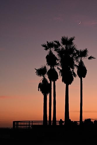 Nikon Z50 - Cámara sin Espejo de 21 MP, Negro