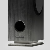 Energy Sistem Tower 7 - Torre de sonido con la tecnologia True Wireless (100 W, luz ambiente, pantalla, USB/microSD, Bluetooth, FM) color negro