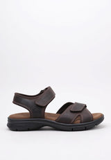 Panama Jack Sanders Basics, Sandalias con Punta Abierta Hombre, Marrón (Marron C1), 43 EU