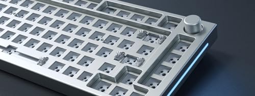 Glorious Gaming GMMK PRO 75% Barebones (solo carcasa) - Teclado gaming mecánico modular, TKL, carcasa de 1,5 kg, RGB, personalizable, switches de 5 pines, distribuciones internacional / ISO - Blanco