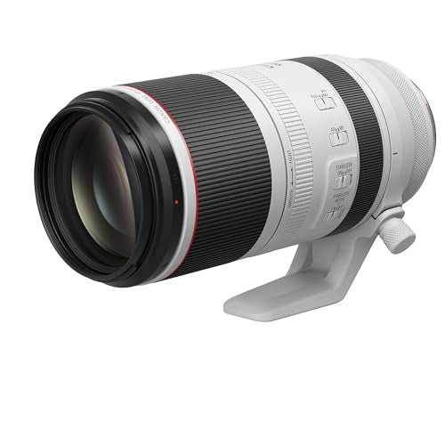 Canon Objetivo RF 100-500mm F4.5-7.1L IS USM - Lente Zoom Teleobjetivo Serie L, Ideal en Viaje y Naturaleza, Ligero, AF de Motores USM y estabilizador óptico 5 Pasos, Compatible Sistema EOS R, Negro