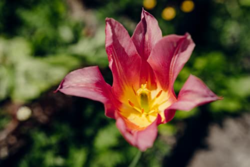 Tamron 20-40mm f/2,8 DI III VXD Sony E