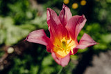 Tamron 20-40mm f/2,8 DI III VXD Sony E