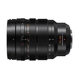 Panasonic Lumix H-X2550E Leica DG - Objetivo de Zoom (25-50 mm (KB: 50-100 mm), F1.7, protección contra el Polvo, protección contra Salpicaduras, protección contra el frío, Color Negro
