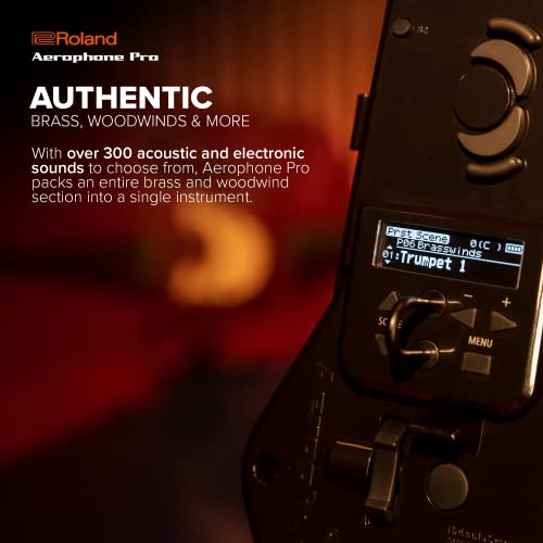 Roland AE-30 Aerophone Pro - Instrumento de viento digital profesional con sistema de síntesis ZEN-Core y sonidos natural, digitación de saxofón tradicional, Bluetooth