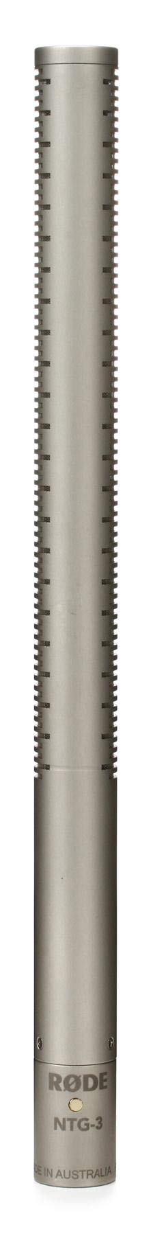 RØDE NTG3 Micrófono de cañón de condensador supercardioide de precisión en níquel satinado RØDE NTG3 con bias RF para grabación en exteriores, foley y locuciones