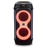 Ibiza - COLUMBA600 - Altavoz, potente bafle 2x6,5"/16cm en batería recargable - Bluetooth, Micro-SD, USB, Aux, 2 MIC IN - TWS - LED multicolor infinito - Asa