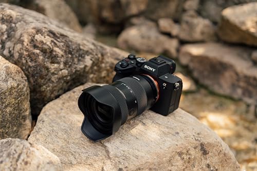 Tamron Objetivo17-50mm f/4 Di III VXD Compatible con Sony FE