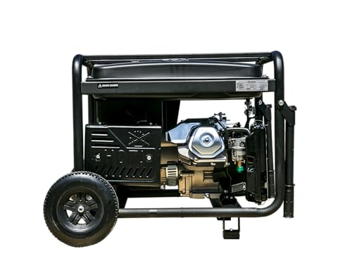 Hyundai HY10000LEK Generador Gasolina (Monofásico)