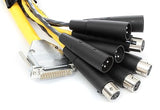 Avid Cable DigiSnake DB25-XLR M+F AES/EBU, 12 pies.