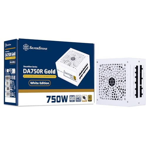SilverStone Technology DA750R Gold, ATX Totalmente Modular 80 Plus Gold 750W ATX 3,0 y PCIe 5,0, SST-DA750R-GMA-WWW