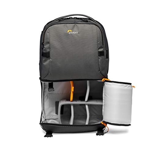 Lowepro Fastpack BP 250 AW III - Mochila para Cámara Refelx DSLR Sin Espejo, con Acceso QuickDoor, Compartimento Para Portátil de 13”, Para Cámaras Nikon D850, 300D Ripstop, Color Gris