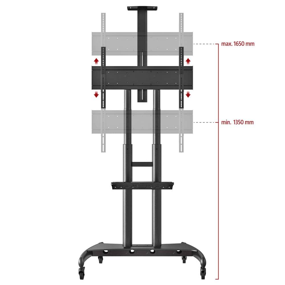 Ergosolid AVA1800B - Soporte móvil para televisor LCD, LED y televisores de 55 a 80 Pulgadas (35 a 20 cm), Color Negro