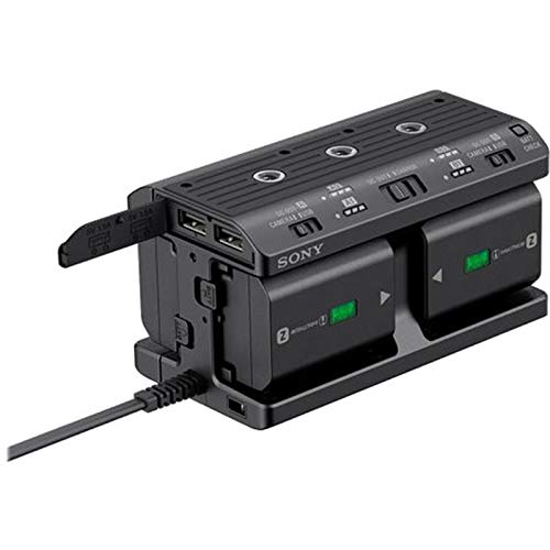 Sony NPA-MQZ1K portapila y Clip 2 - Portapilas y Clips (Negro, Sony NP-FZ100, 1 Pieza(s))