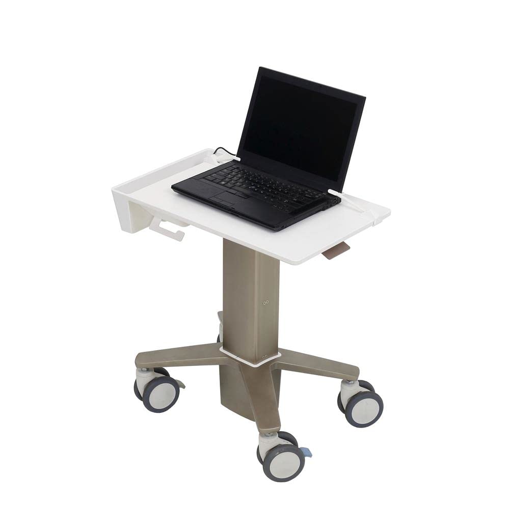 ERGOTRON C50-1100-0 Soporte para Ordenador portátil Soporte Gris 39,6 cm (15.6")