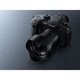 Panasonic LEICA DG VARIO-ELMARIT H-E08018 - Objetivo Gran angular para cámaras de montura M4/3 (Focal 8-18 mm, F2.8-F4, lentes asféricas, tamaño filtro 67 mm, resistente agua/polvo/congelación), negro
