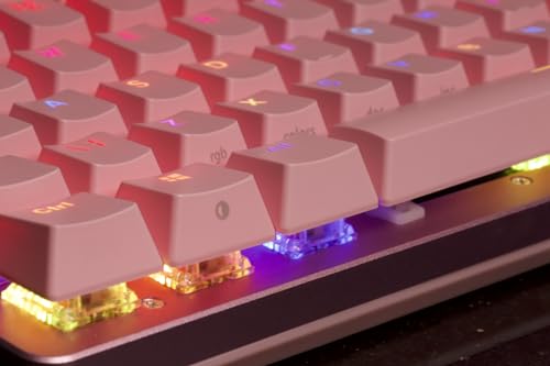 Glorious Gaming GMMK 2 Compact 65% - Teclado gaming mecánico, compacto TKL 65%, carcasa de aluminio, personalizable, keycaps dobles, switches Fox, RGB, distribuciones QWERTY estadounidense - Rosa