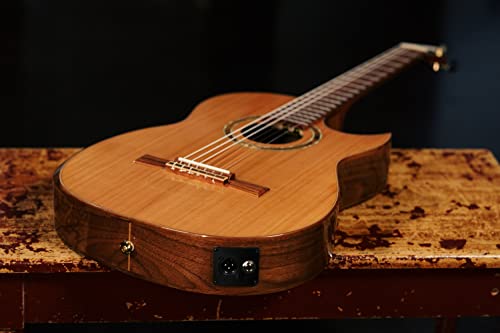 ORTEGA Ben Woods Signature Guitar Clavijero invertido Nylon 6 Cuerdas y funda Ben Woods Fishman-ORTEGA Clasica Blend System con salida XLRFLAMETAL-TWO