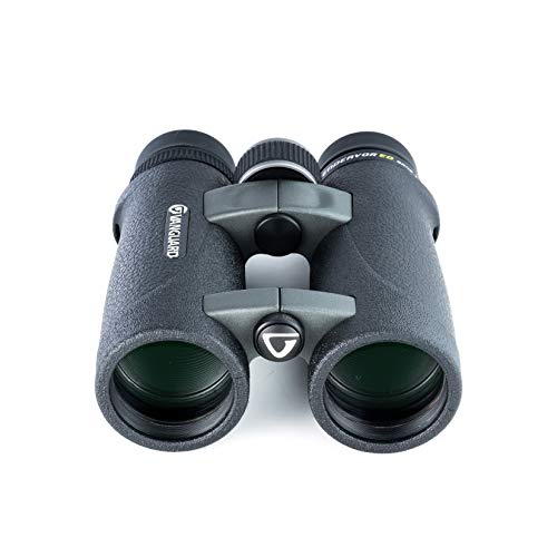 Vanguard Endeavor ED 8420 - Prismáticos ED 8x42
