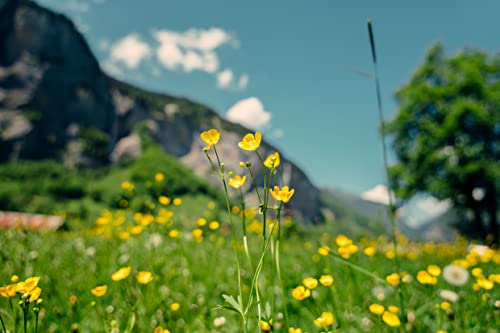 Tamron 20-40mm f/2,8 DI III VXD Sony E