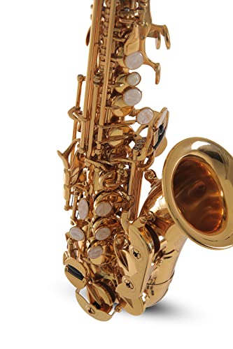 Roy Benson Saxofón Soprano Sib SG-302 (Premium Brass Design, con arco ergonómico RND S-Bow, llave Fa# agudo, almohadilla PISONI, estuche ligero para transporte, con juego de mochila)