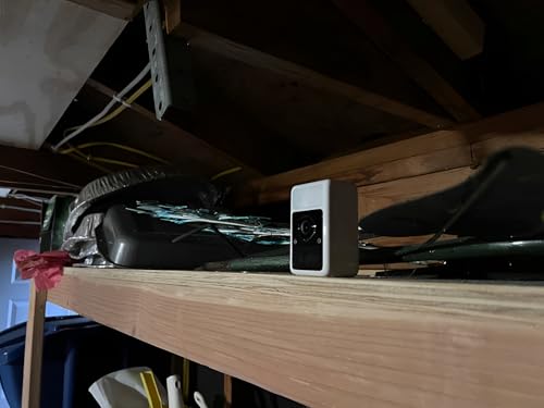 SJCAM S1 home camera - Home monitoring